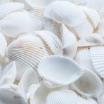 Barbiecore to Coastal Grandma: Aesthetic Trends Driving Sales