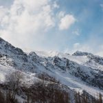 Why Your Ice Maker Fails (and How to Revive It)