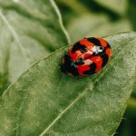 Greenwashing Exposed: How to Spot Fake ‘Eco-Friendly’ Labels