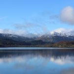 Air Fryer vs. Convection Oven: Which Crisps Better (and Cheaper)?